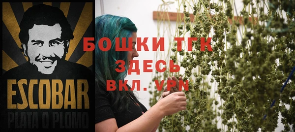 дживик Бугульма