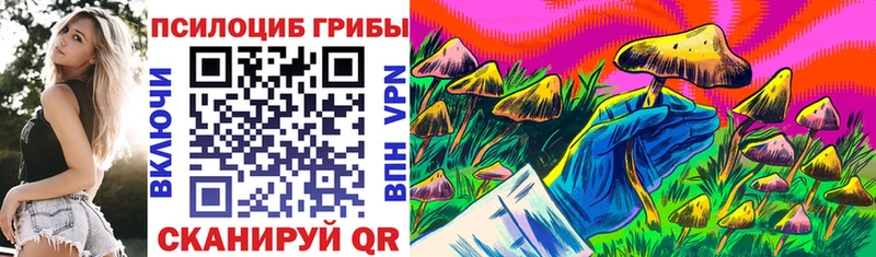цена   mega рабочий сайт  Галлюциногенные грибы GOLDEN TEACHER  Северск 